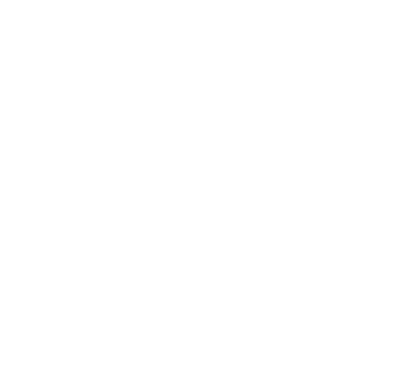 Morpheus Tech Co